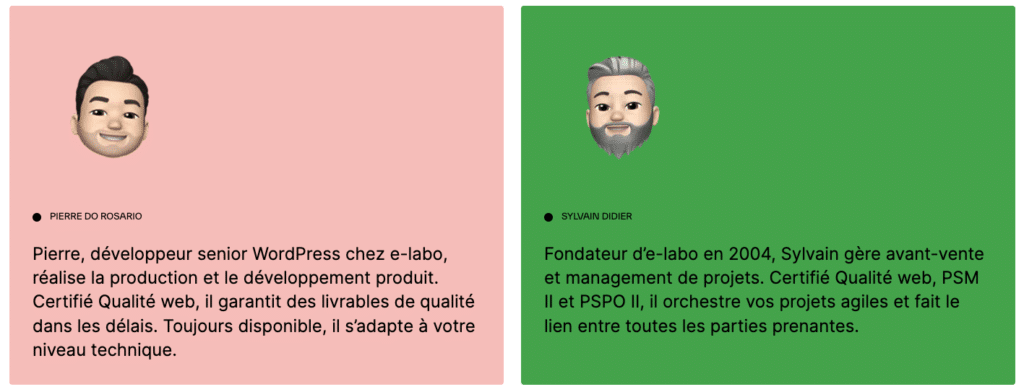 equipe e-labo, agence web wordpress aix en provence