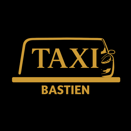 gestion campagnes google ads artisan taxi 83